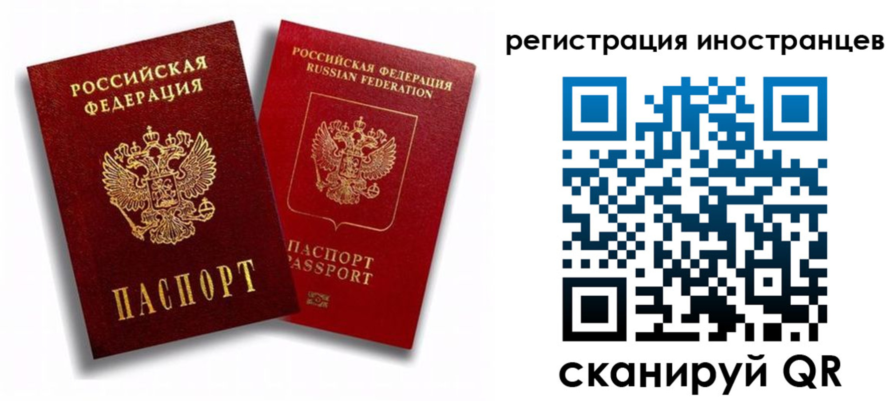 регистрация для школы в Заволжье